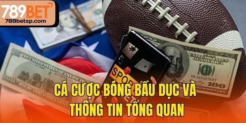 Cá cược bóng bầu dục và thông tin tổng quan