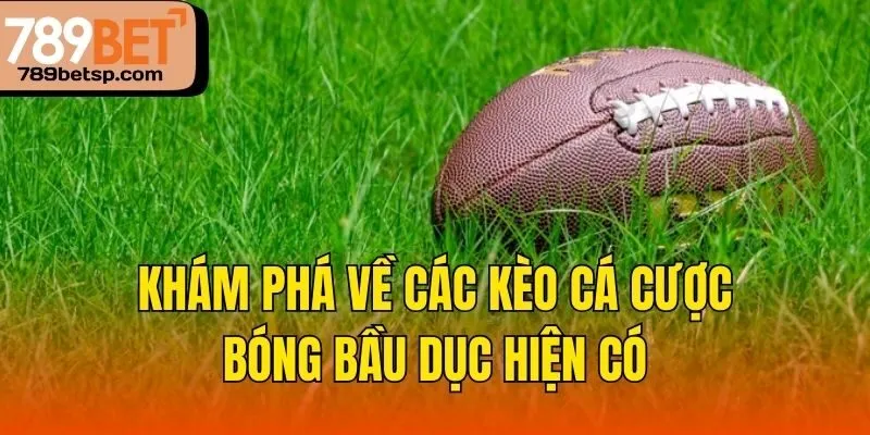 Khám phá về các kèo cá cược bóng bầu dục hiện có